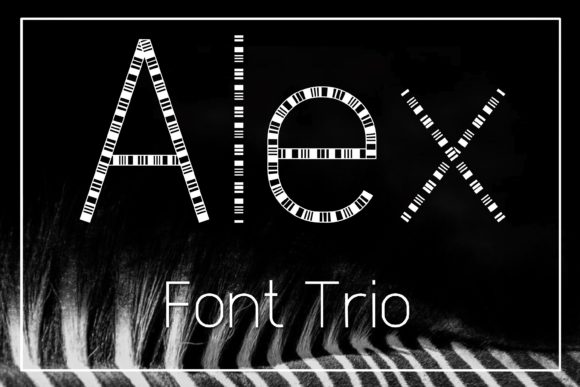 Alex: The Perfect Display Font for Modern Web Design