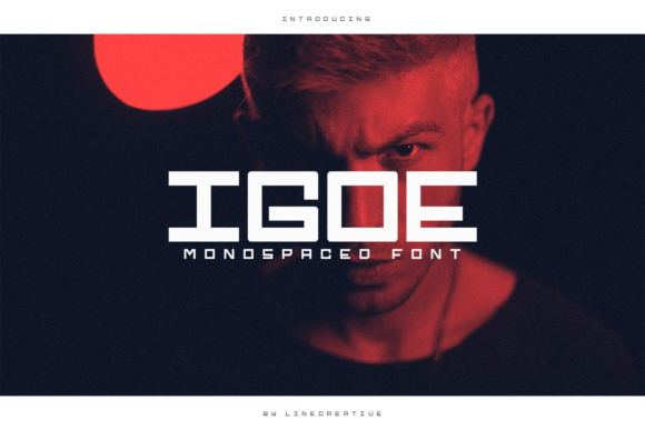 Enhance Your Web Design with Igoe Font
