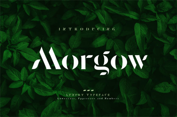 Enhance Your Web Design with Morgow, the Elegant Display Font